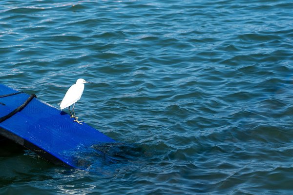 Unlocking the Secrets: Key Criteria for Diagnosing Gestational Hypertension in the UK